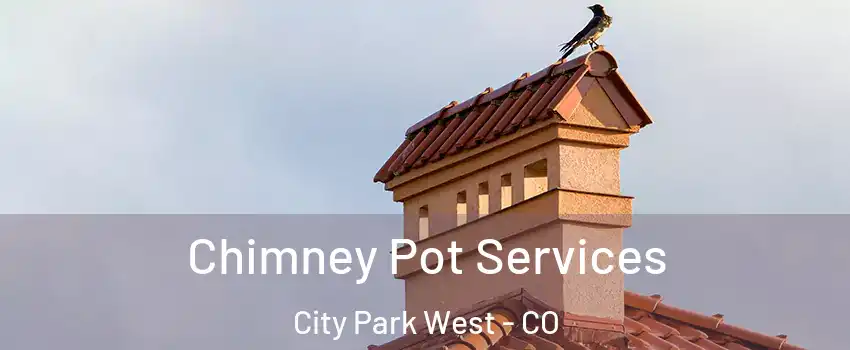 Chimney Pot Services City Park West - CO