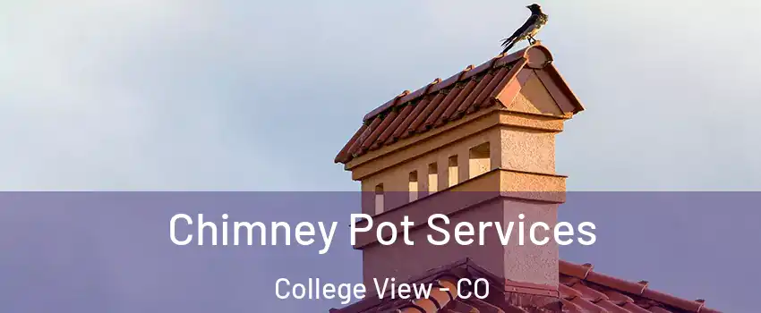 Chimney Pot Services College View - CO