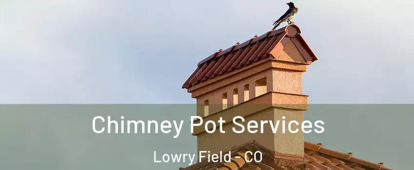 Chimney Pot Services Lowry Field - CO