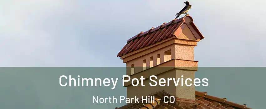 Chimney Pot Services North Park Hill - CO