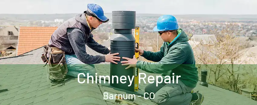 Chimney Repair Barnum - CO