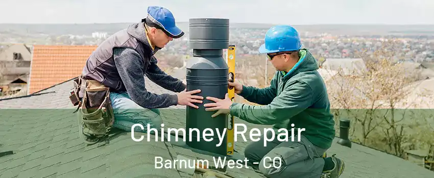 Chimney Repair Barnum West - CO