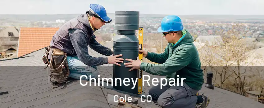 Chimney Repair Cole - CO