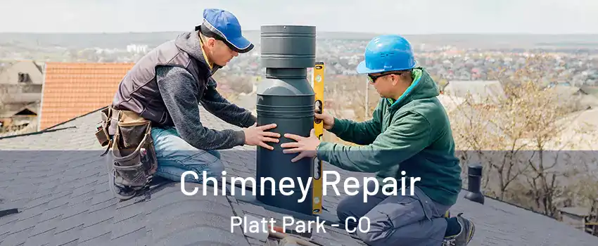 Chimney Repair Platt Park - CO