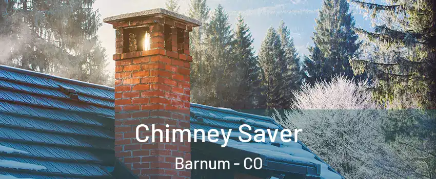 Chimney Saver Barnum - CO