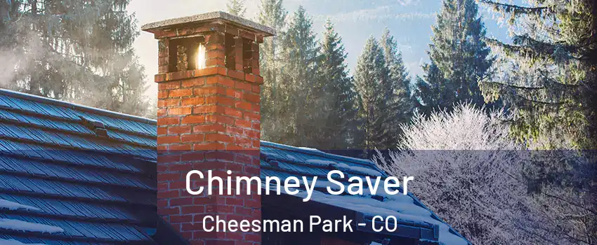 Chimney Saver Cheesman Park - CO