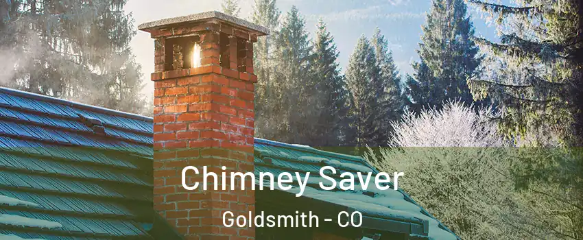 Chimney Saver Goldsmith - CO