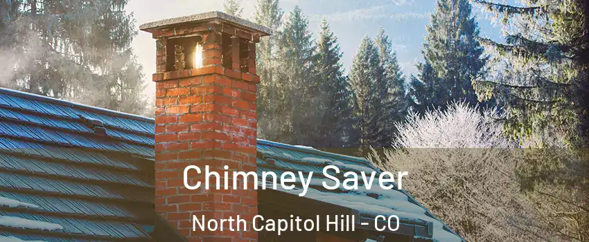 Chimney Saver North Capitol Hill - CO