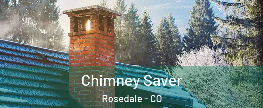 Chimney Saver Rosedale - CO