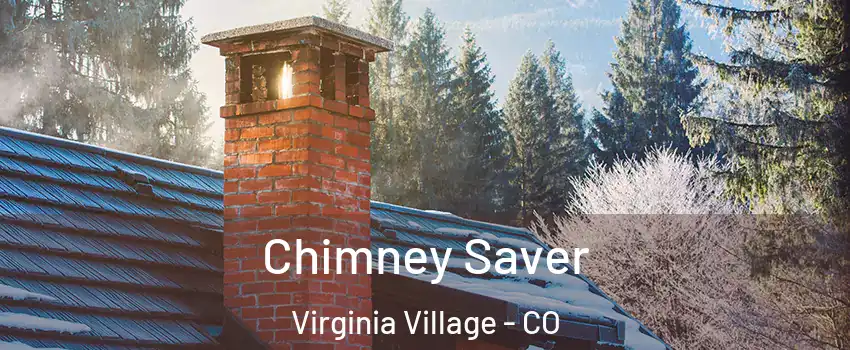 Chimney Saver Virginia Village - CO