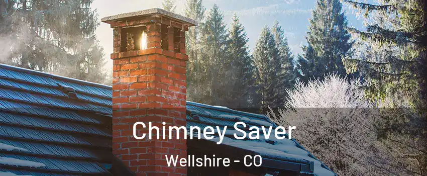 Chimney Saver Wellshire - CO