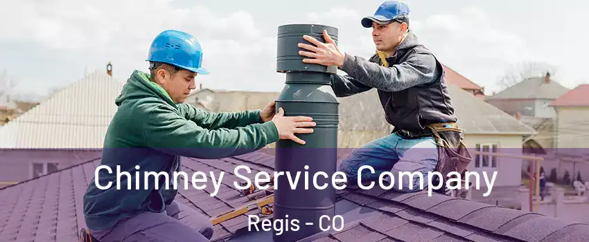 Chimney Service Company Regis - CO