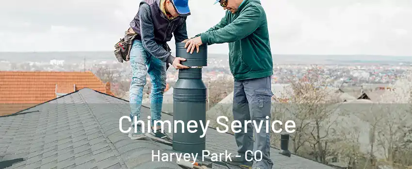 Chimney Service Harvey Park - CO