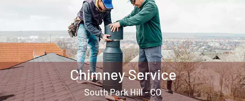 Chimney Service South Park Hill - CO