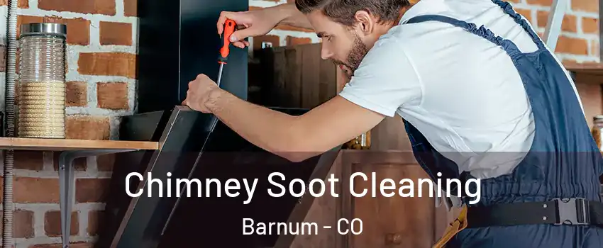 Chimney Soot Cleaning Barnum - CO