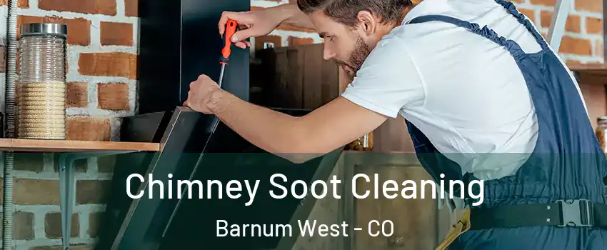 Chimney Soot Cleaning Barnum West - CO