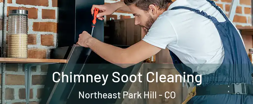 Chimney Soot Cleaning Northeast Park Hill - CO