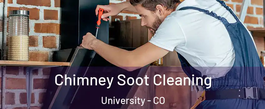 Chimney Soot Cleaning University - CO