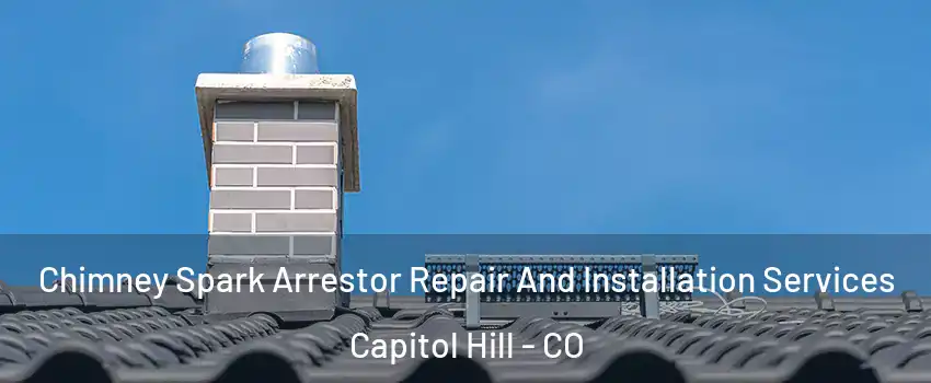 Chimney Spark Arrestor Repair And Installation Services Capitol Hill - CO