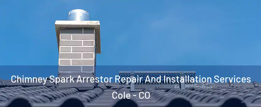 Chimney Spark Arrestor Repair And Installation Services Cole - CO