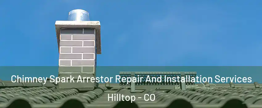 Chimney Spark Arrestor Repair And Installation Services Hilltop - CO