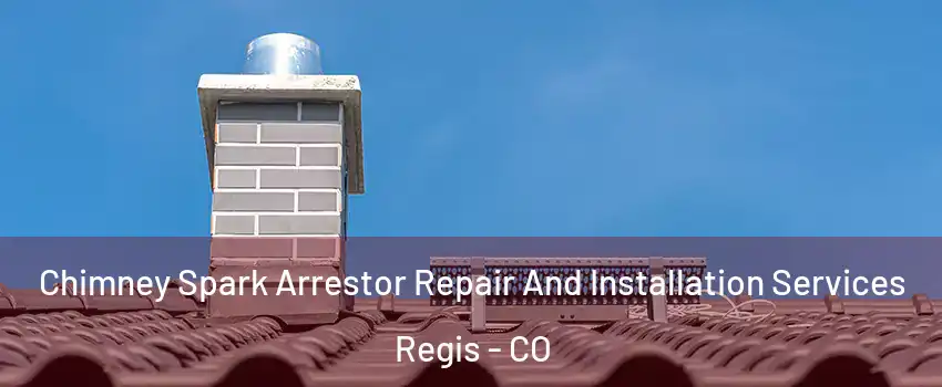 Chimney Spark Arrestor Repair And Installation Services Regis - CO