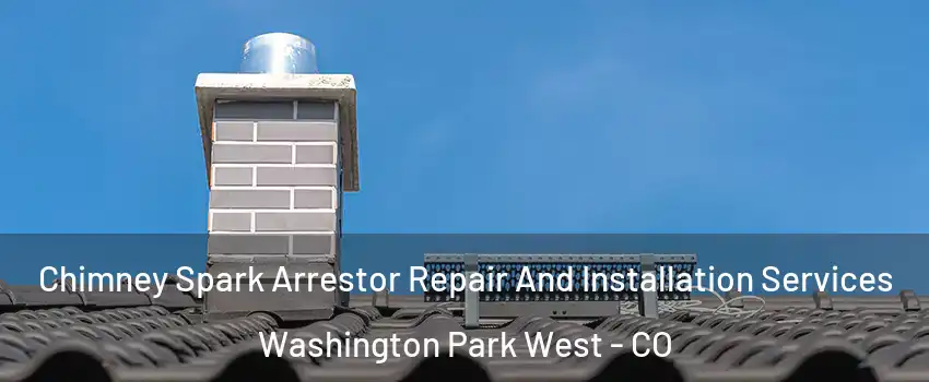 Chimney Spark Arrestor Repair And Installation Services Washington Park West - CO