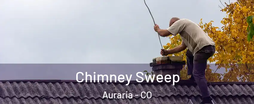 Chimney Sweep Auraria - CO