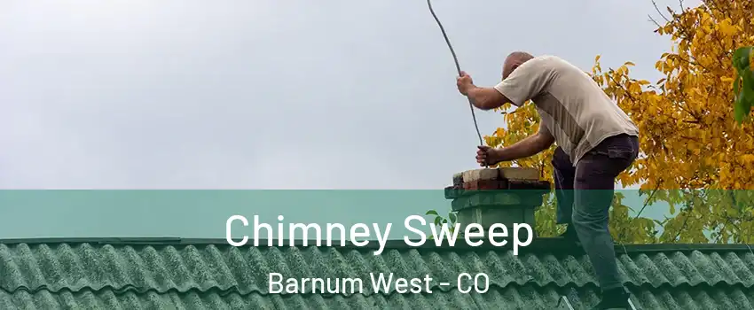 Chimney Sweep Barnum West - CO