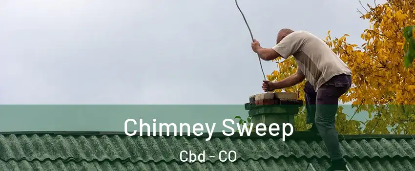 Chimney Sweep Cbd - CO