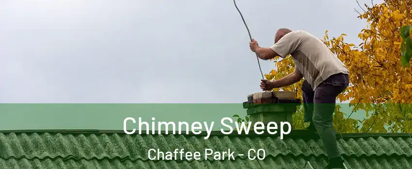 Chimney Sweep Chaffee Park - CO