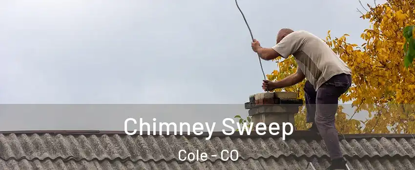 Chimney Sweep Cole - CO