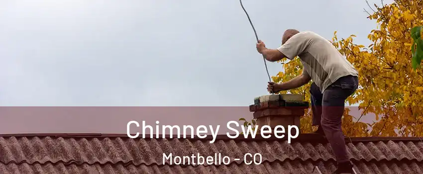 Chimney Sweep Montbello - CO