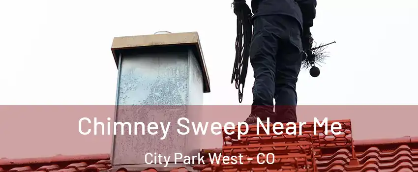 Chimney Sweep Near Me City Park West - CO