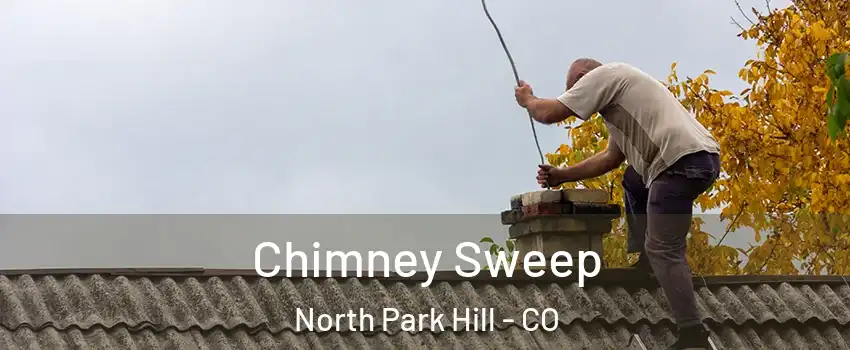 Chimney Sweep North Park Hill - CO