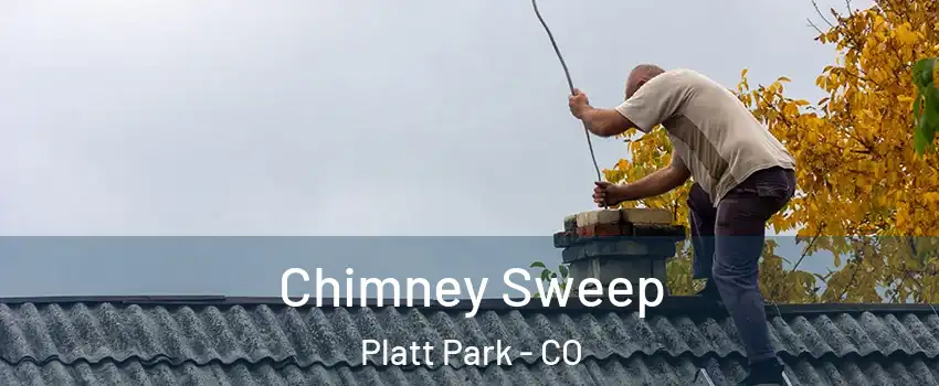 Chimney Sweep Platt Park - CO