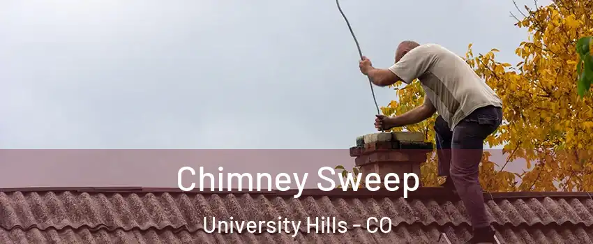 Chimney Sweep University Hills - CO