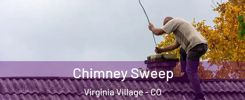 Chimney Sweep Virginia Village - CO