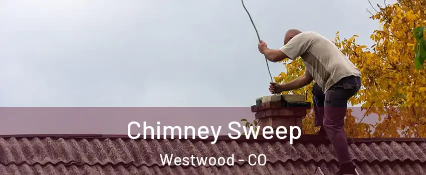 Chimney Sweep Westwood - CO