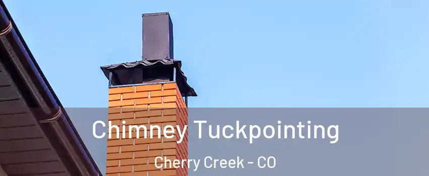 Chimney Tuckpointing Cherry Creek - CO