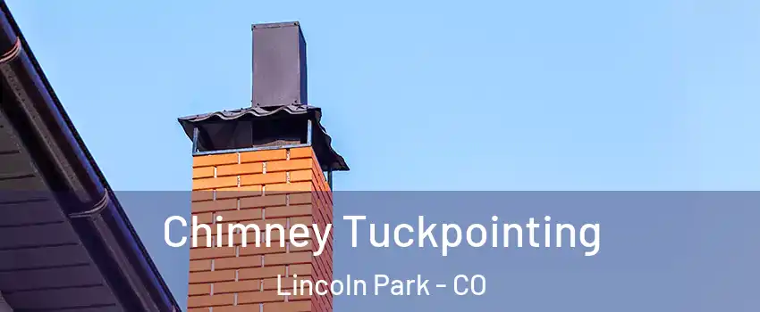 Chimney Tuckpointing Lincoln Park - CO