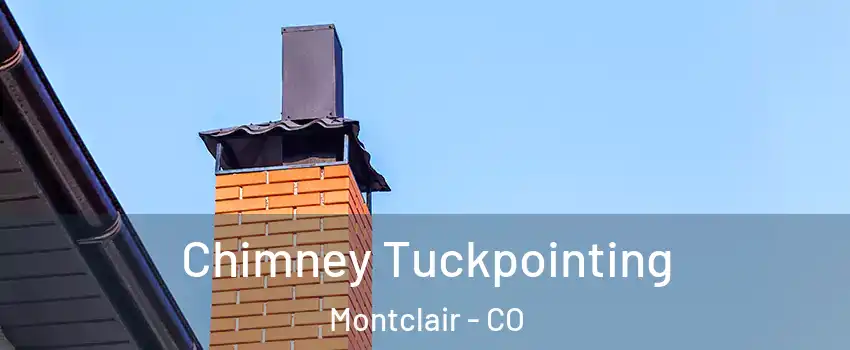 Chimney Tuckpointing Montclair - CO