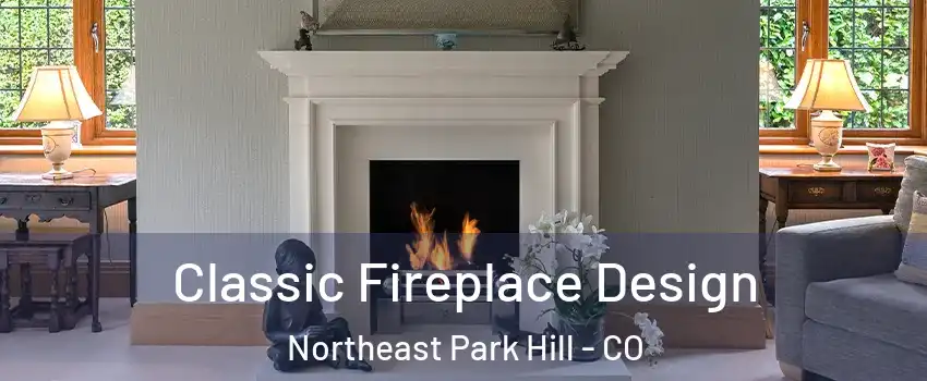 Classic Fireplace Design Northeast Park Hill - CO