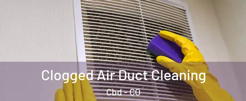 Clogged Air Duct Cleaning Cbd - CO