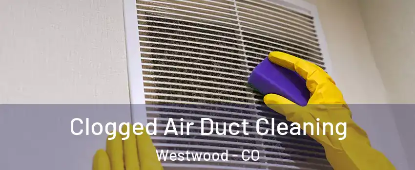 Clogged Air Duct Cleaning Westwood - CO