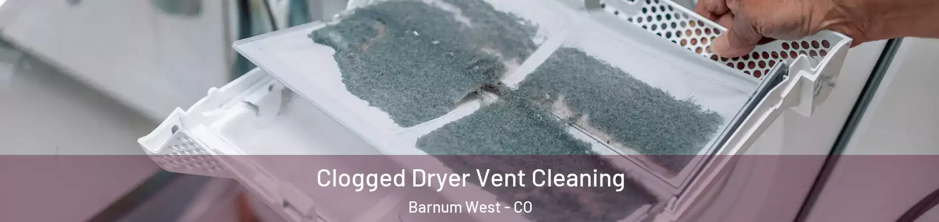 Clogged Dryer Vent Cleaning Barnum West - CO