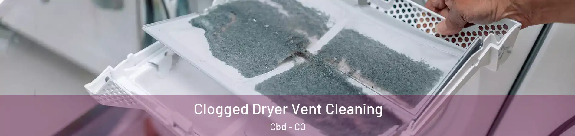 Clogged Dryer Vent Cleaning Cbd - CO