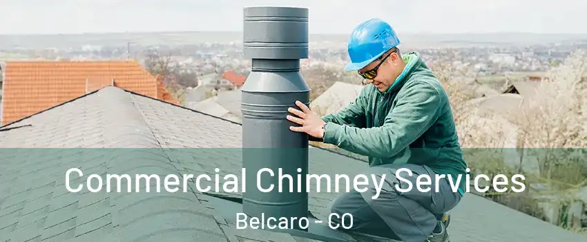 Commercial Chimney Services Belcaro - CO