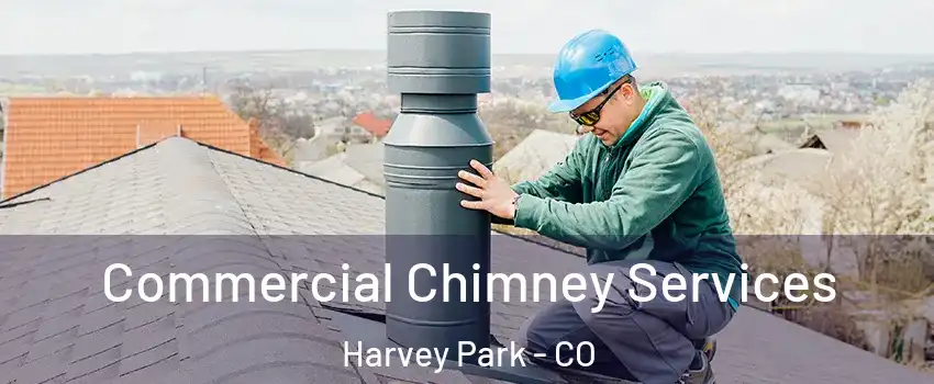 Commercial Chimney Services Harvey Park - CO