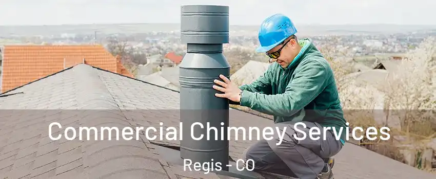 Commercial Chimney Services Regis - CO